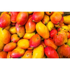 Mangos